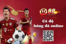 Thể Thao QH88 – Thế giới cá cược bóng đá online uy tín hàng đầu thế giới