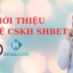 Liên hệ CSKH SHBET – Nhanh chóng – Tận tâm