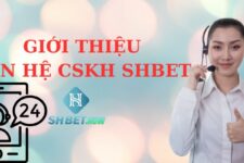 Liên hệ CSKH SHBET – Nhanh chóng – Tận tâm